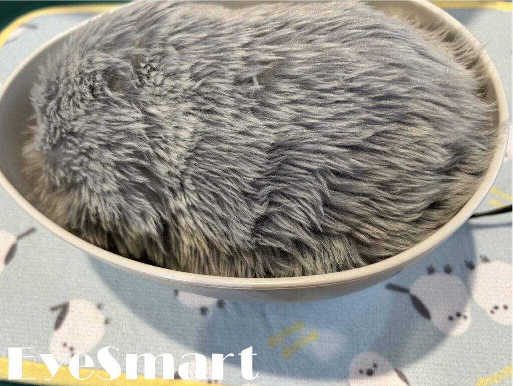 元気になったモフリン